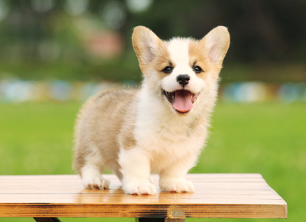 爱游戏网页版在线登录:集成电路行业融资最多 融资周报（2025年第39期）